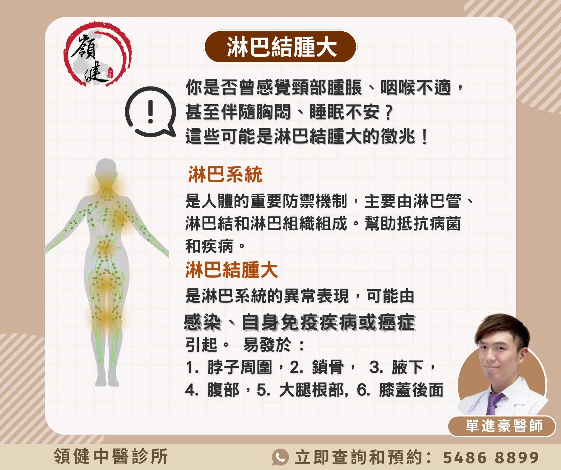 淋巴系統介紹